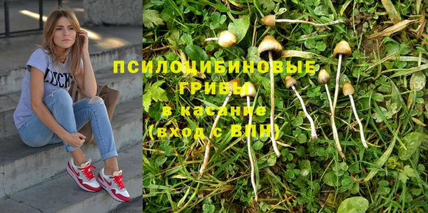дурь Алексеевка